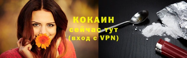 ALPHA PVP Гусь-Хрустальный