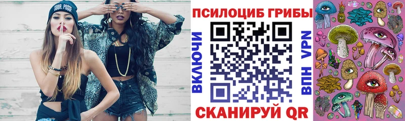 сайты даркнета как зайти  Златоуст  Галлюциногенные грибы прущие грибы 